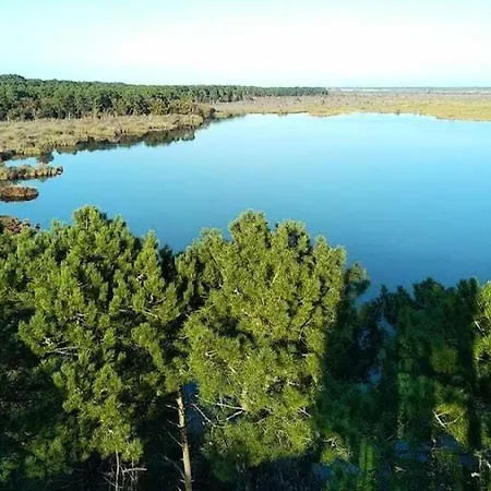 Bidaou - Maison 5 Personnes A L'aubarede Le Bidaou A Ocean Mae-0491 *